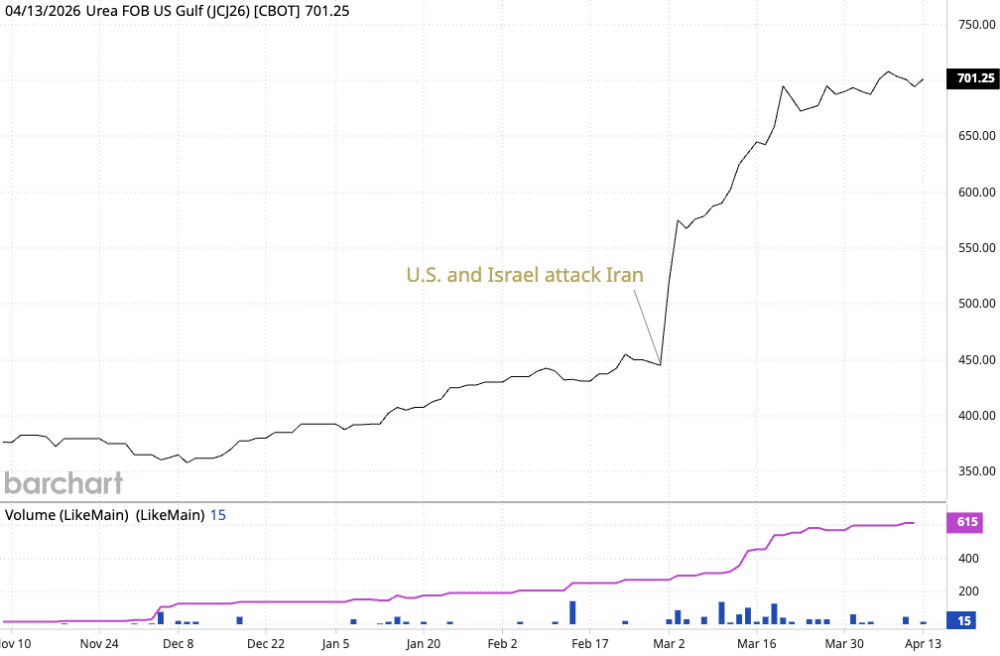 A linechart showing the increase in the U.S. import price for urea since the beginning of the Iran war.